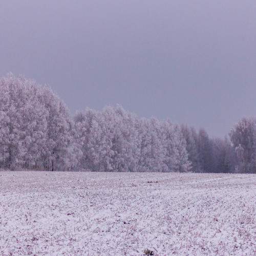 Photo #6973638