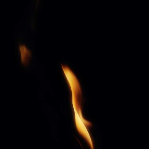 Photo #6973663