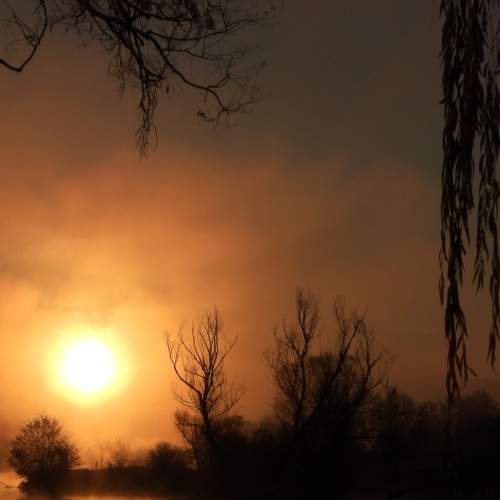 Photo #6973762