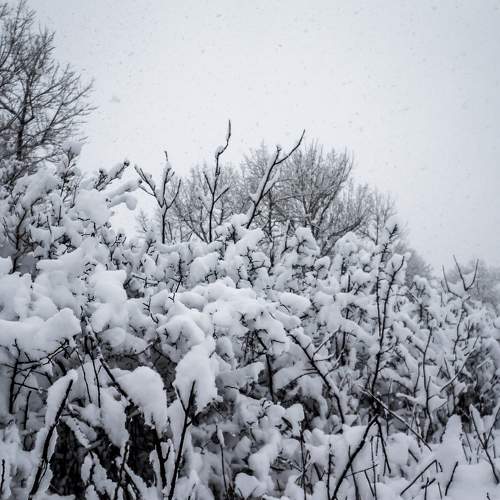 Photo #6973818