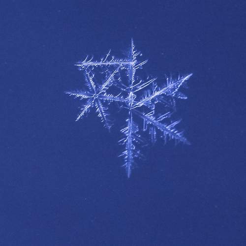 Double snowflake on blue background