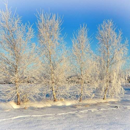Photo #6974014