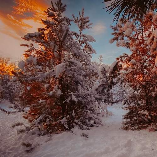 Photo #6974075