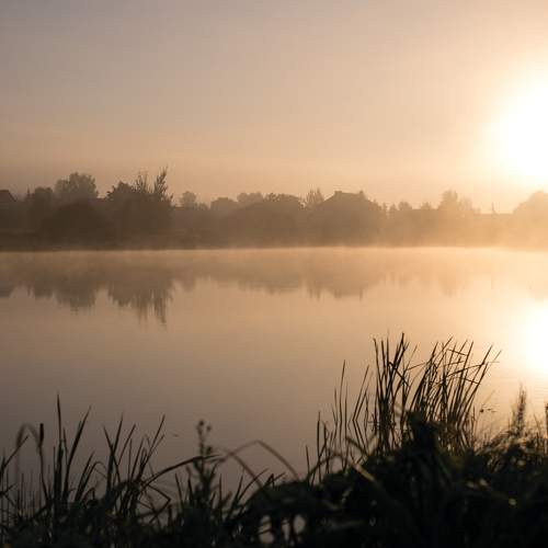 Photo #6974132