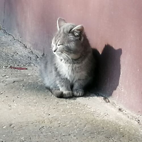 Photo #6974265