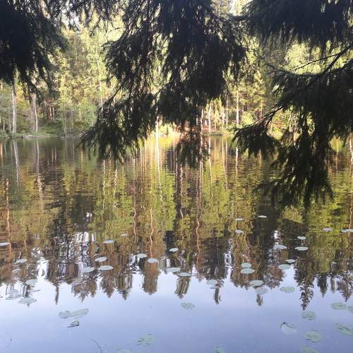 Photo #6974539