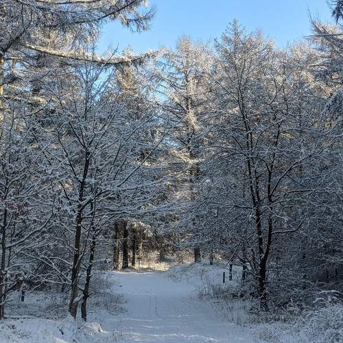 Photo #6974677