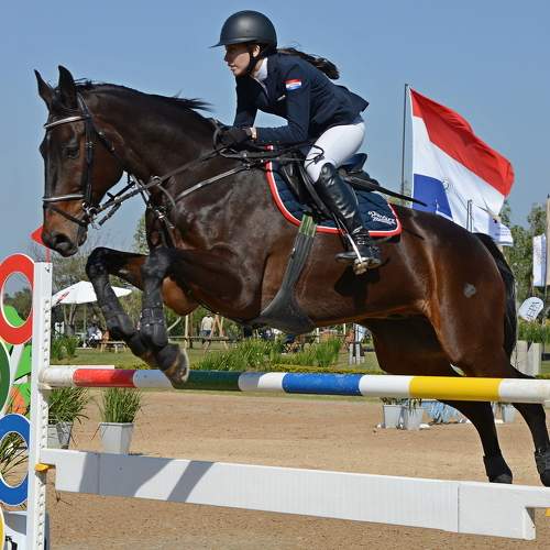 Photo #6974986
