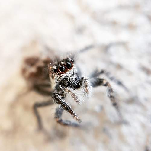 Photo #6975207