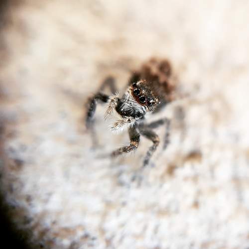 Photo #6975225