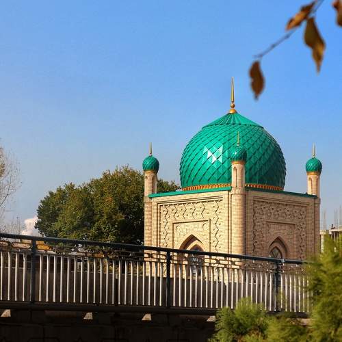 Photo #6975287