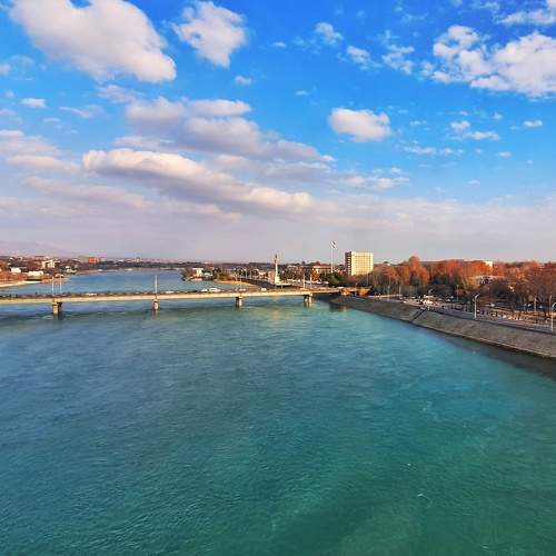 Photo #6975288