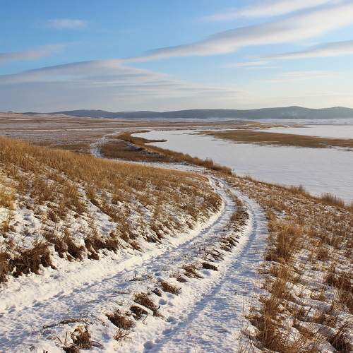 Photo #6975372