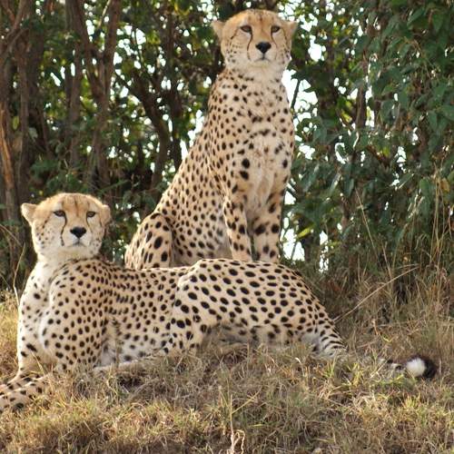 Photo #6975373