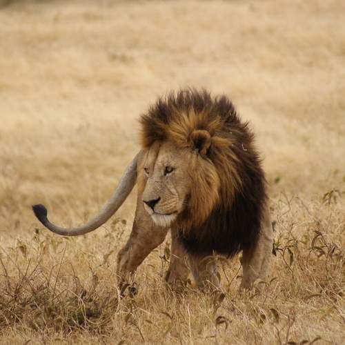 Photo #6975381