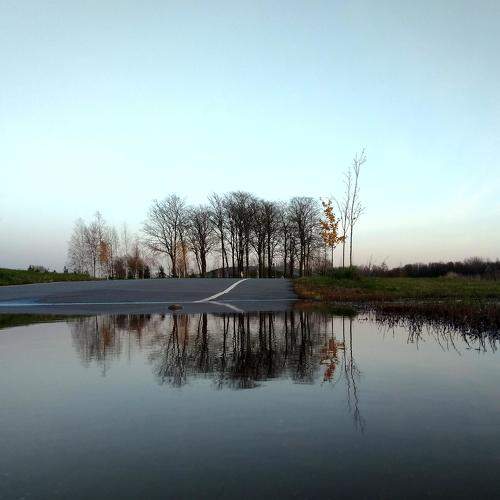 Photo #6975413