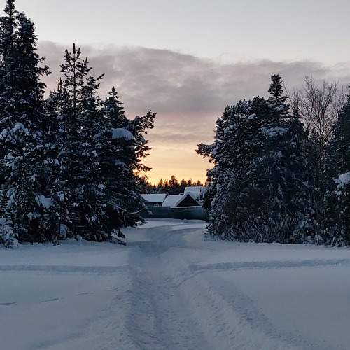 Photo #6975584