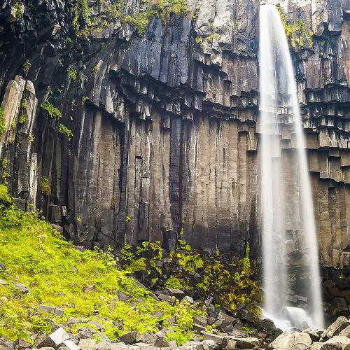 Photo #6975596