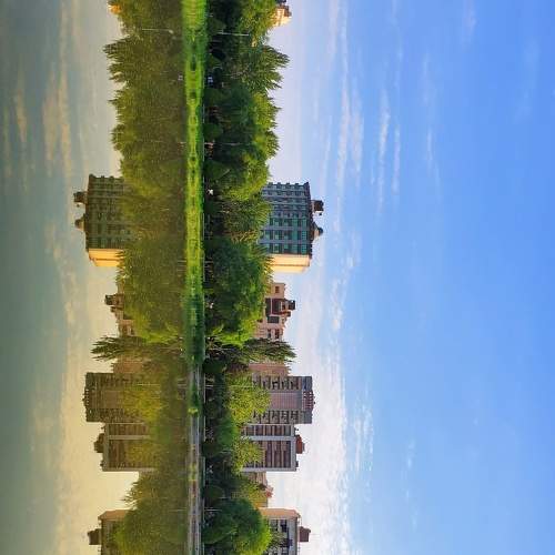 Photo #6975694