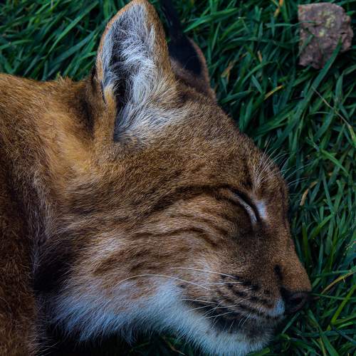 Photo #6975723