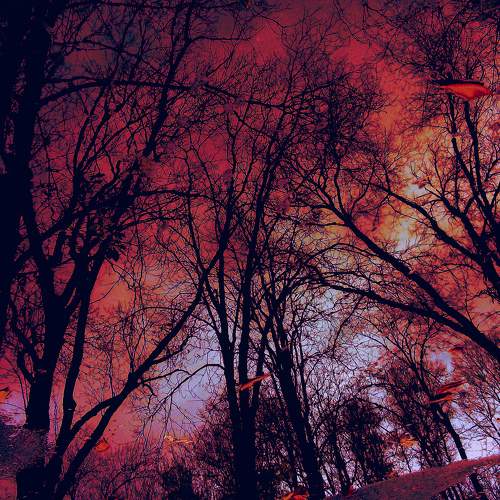 Photo #6975739