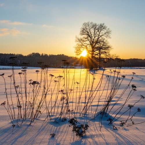 Photo #6975793