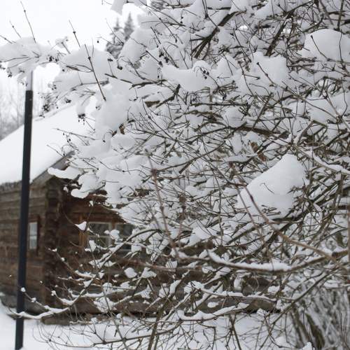 Photo #6975809