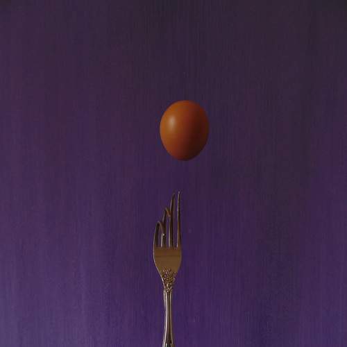 Photo #6976045