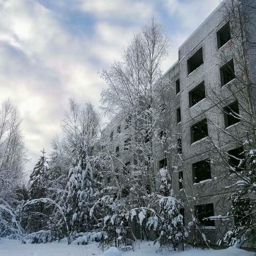 Photo #6976221