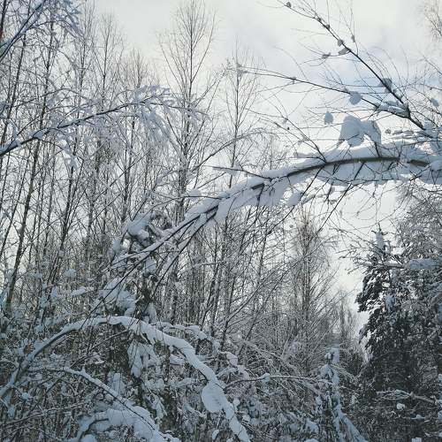 Photo #6976229
