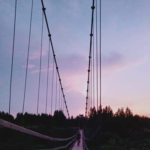 Photo #6976554