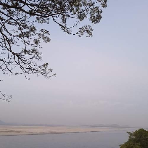 Photo #6976801