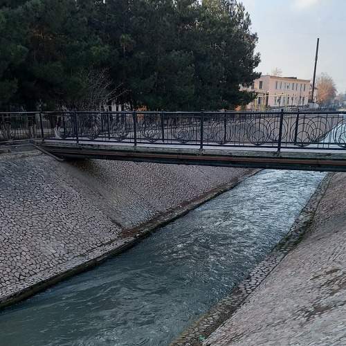 Photo #6977252