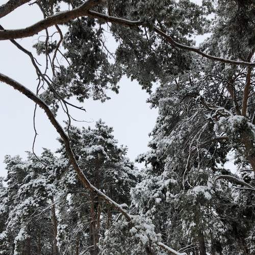 Photo #6977299