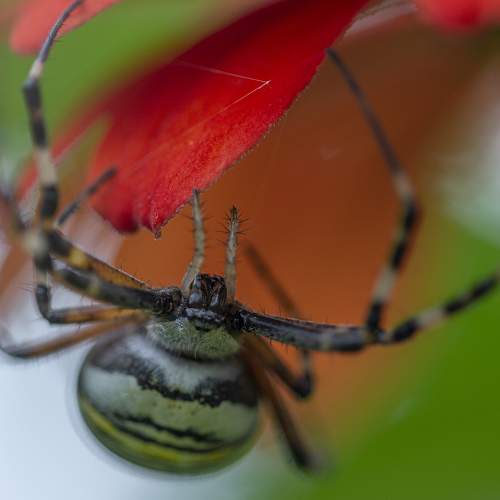 Photo #6977382