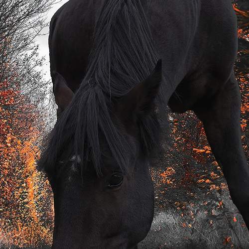 Photo #6977419