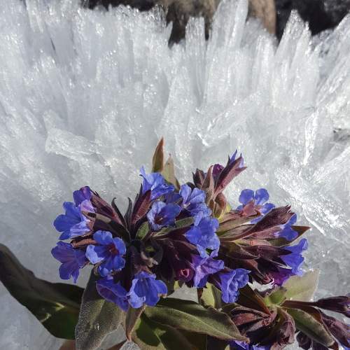 Photo #6977664