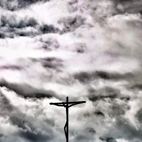 Photo #6977969