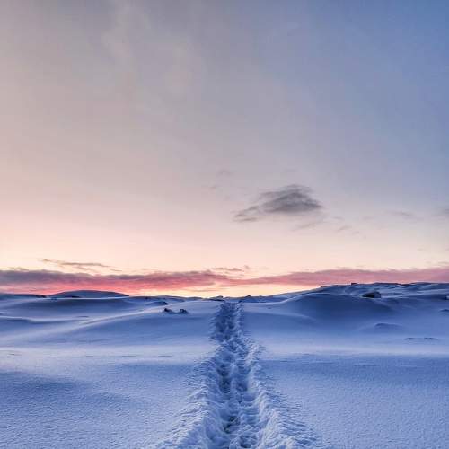 Photo #6977973