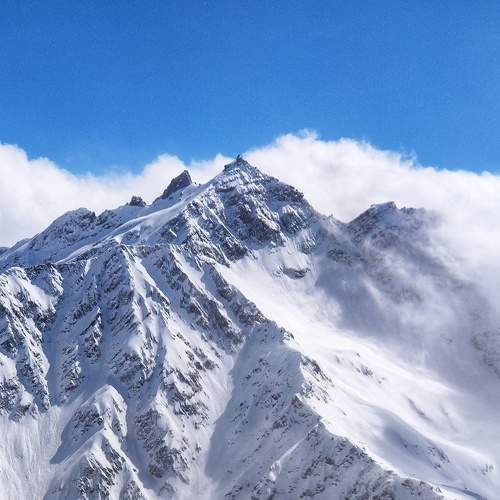 Photo #6977974