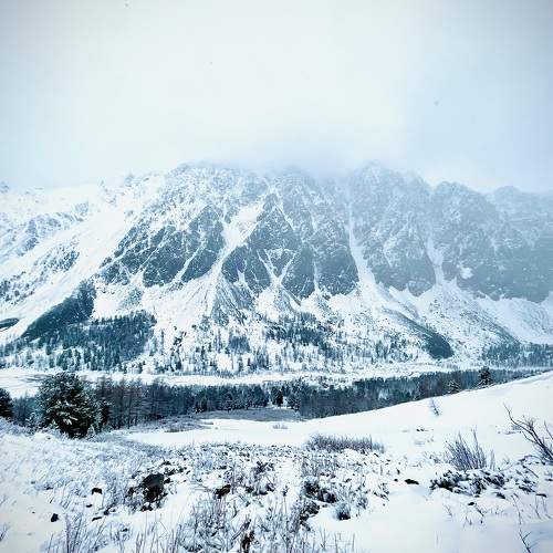 Photo #6978220