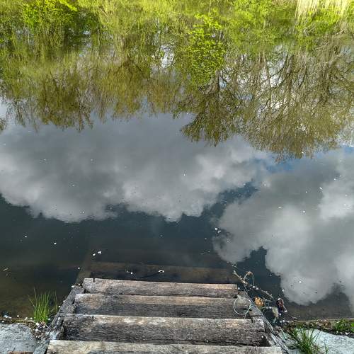 Photo #6978357