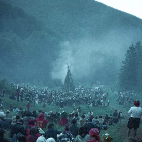 Photo #6978495