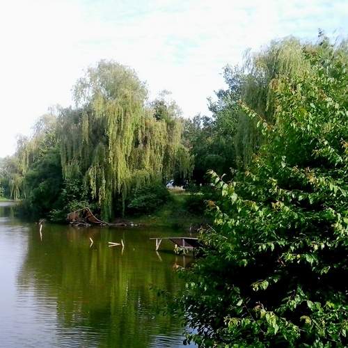 Немировский парк