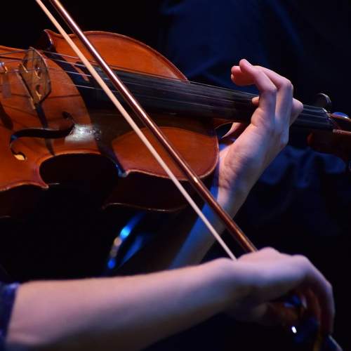 Photo #6978637