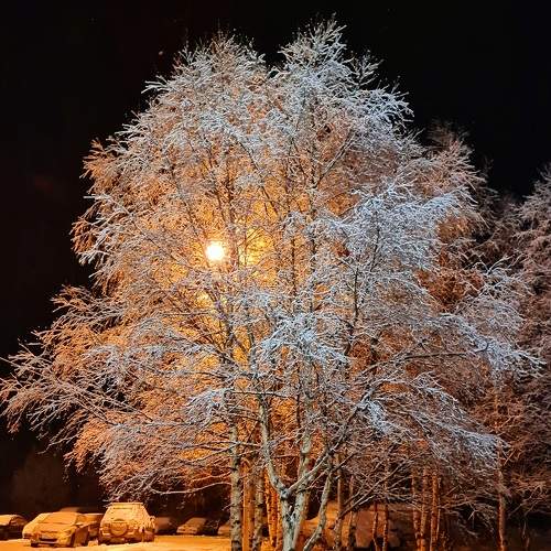Photo #6979093