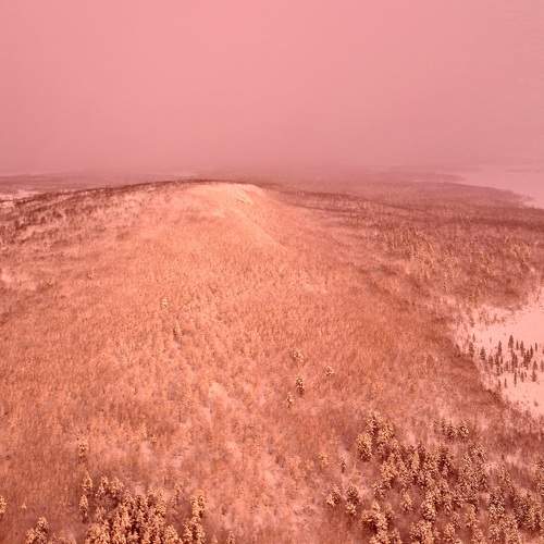 Photo #6979169