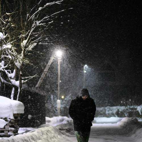 Photo #6979194