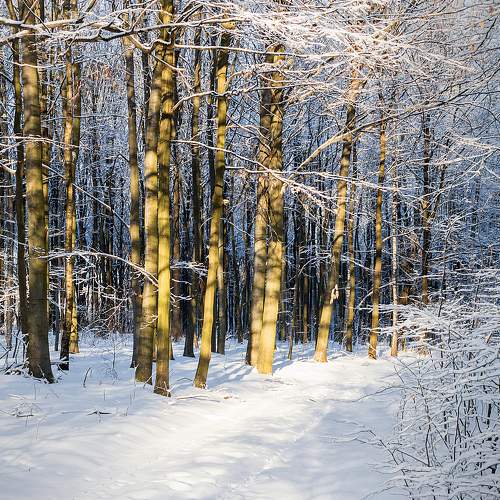 Photo #6979209