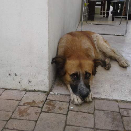 Photo #6979503
